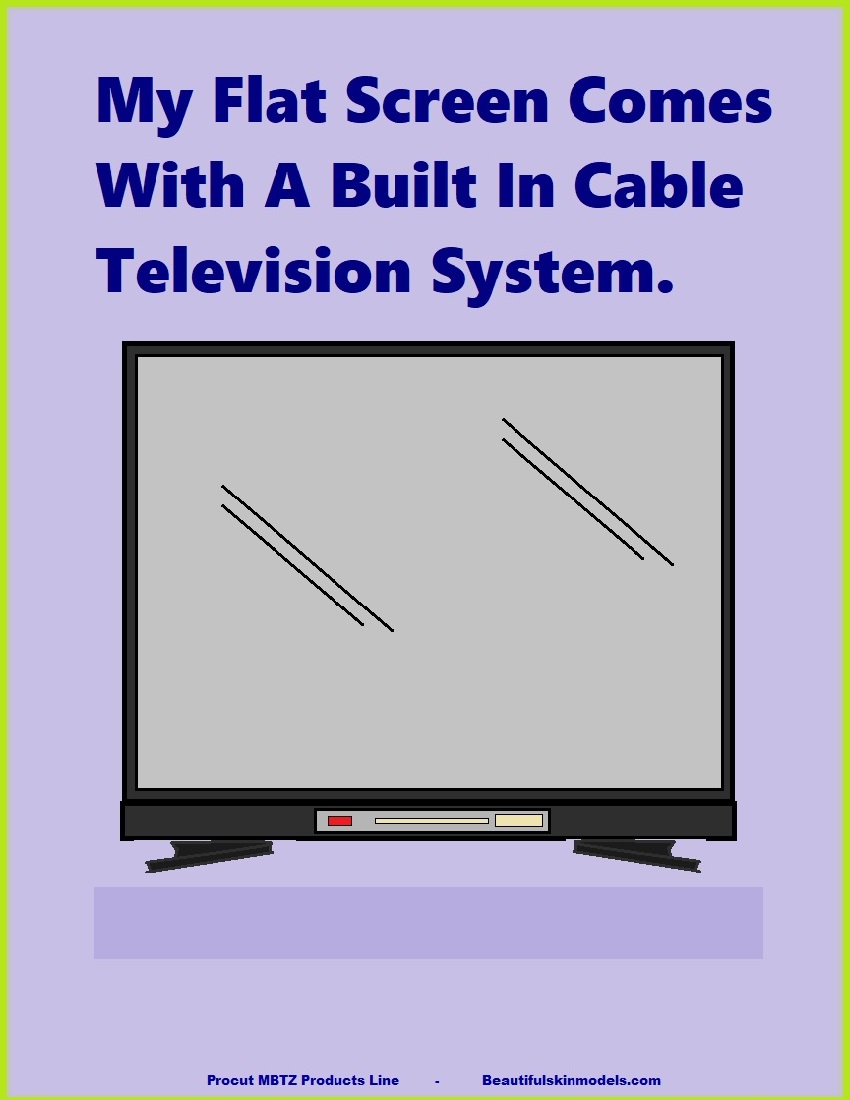 My Flat Screen Comes With A Built In Cable Television System